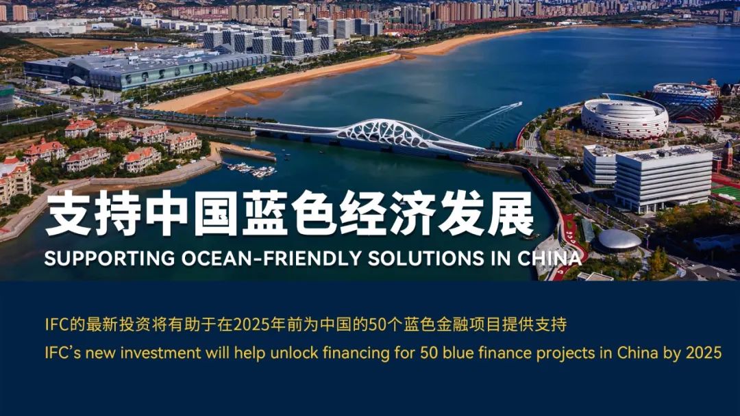 IFC中国首笔蓝色贷款落地青岛银行，支持中国海洋经济发展