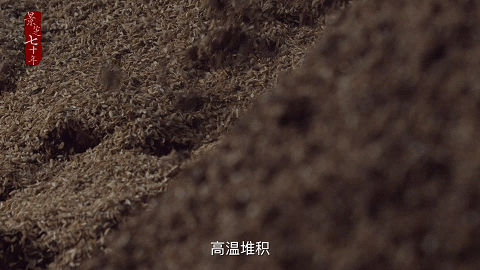 匠心始终如初，景芝孜孜不倦将原粮“历练”成滴滴醇香