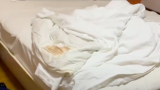 房客裸睡发现被罩内大量血迹，7天连锁酒店致歉