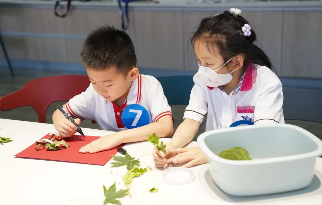 跨过“一门之隔”，济南慧思顿幼儿园的娃娃们到隔壁看看托马斯小学课堂什么样