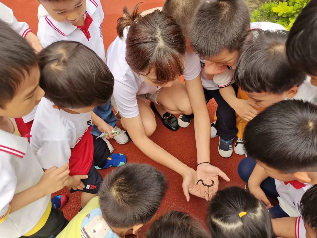 跨过“一门之隔”，济南慧思顿幼儿园的娃娃们到隔壁看看托马斯小学课堂什么样