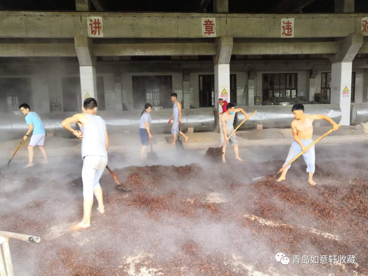 茅台镇传统佳酿，“鲁青一号”酱香浓郁、回味悠长