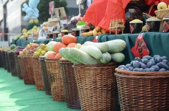 山东优化特色农产品保险奖补政策，目标价格险统一标准