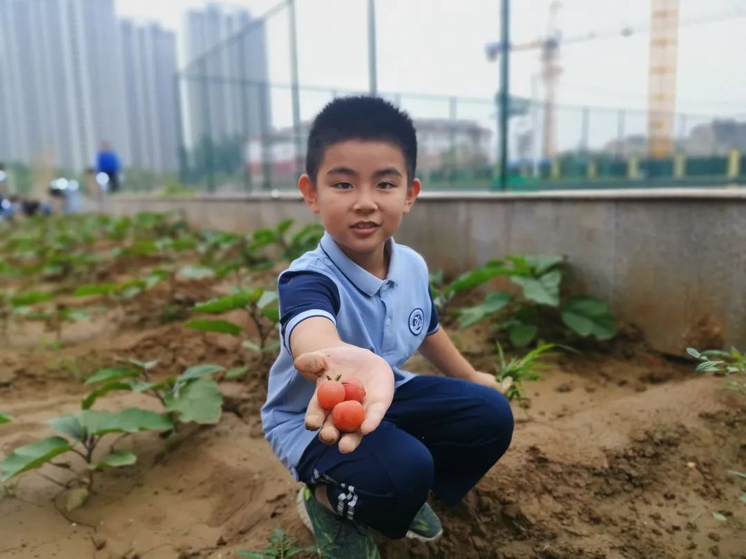 山师东海实验学校上榜山东省首批“绿色学校”