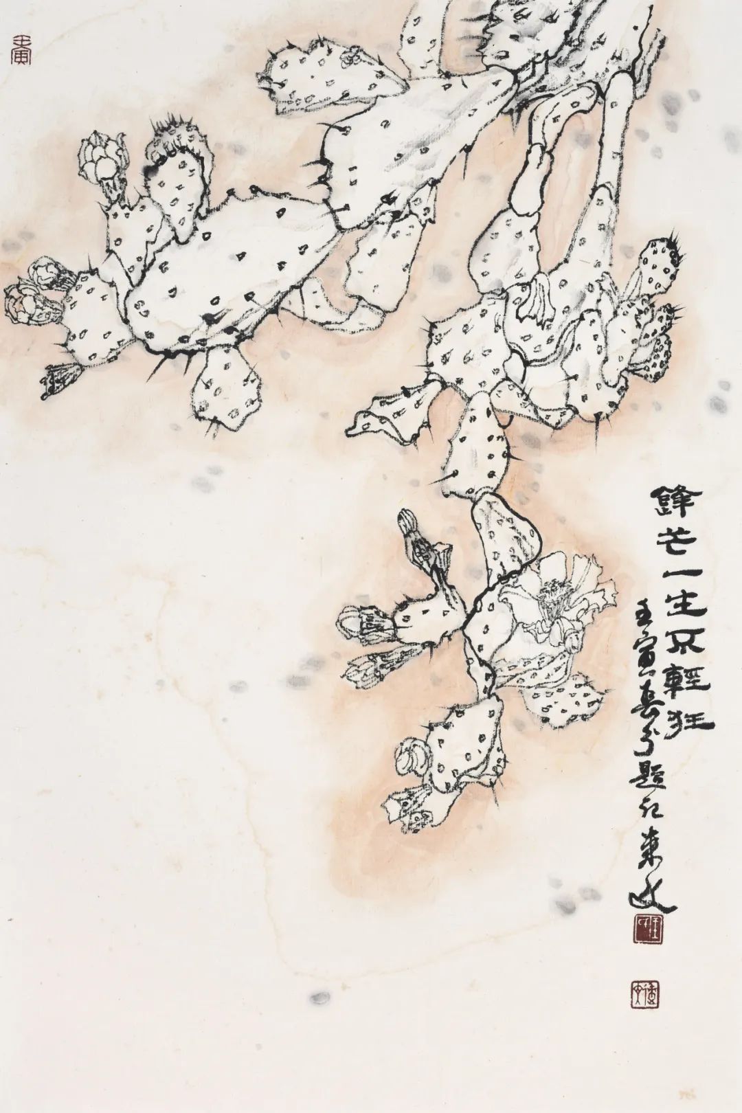 走向单纯——品读著名画家王来文白描花卉册页