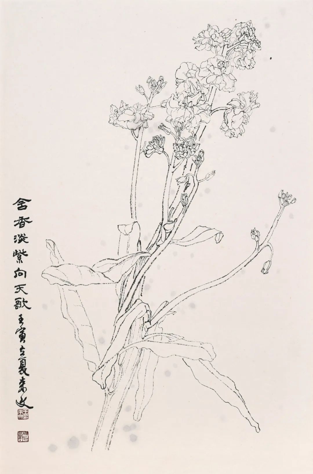 走向单纯——品读著名画家王来文白描花卉册页