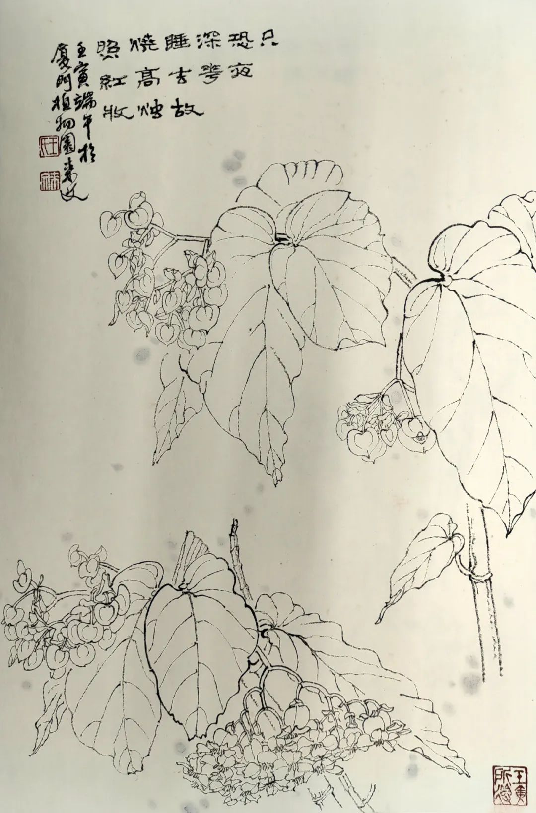 走向单纯——品读著名画家王来文白描花卉册页