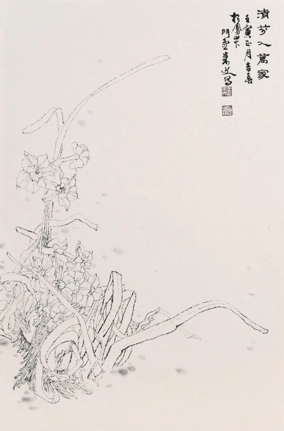 走向单纯——品读著名画家王来文白描花卉册页