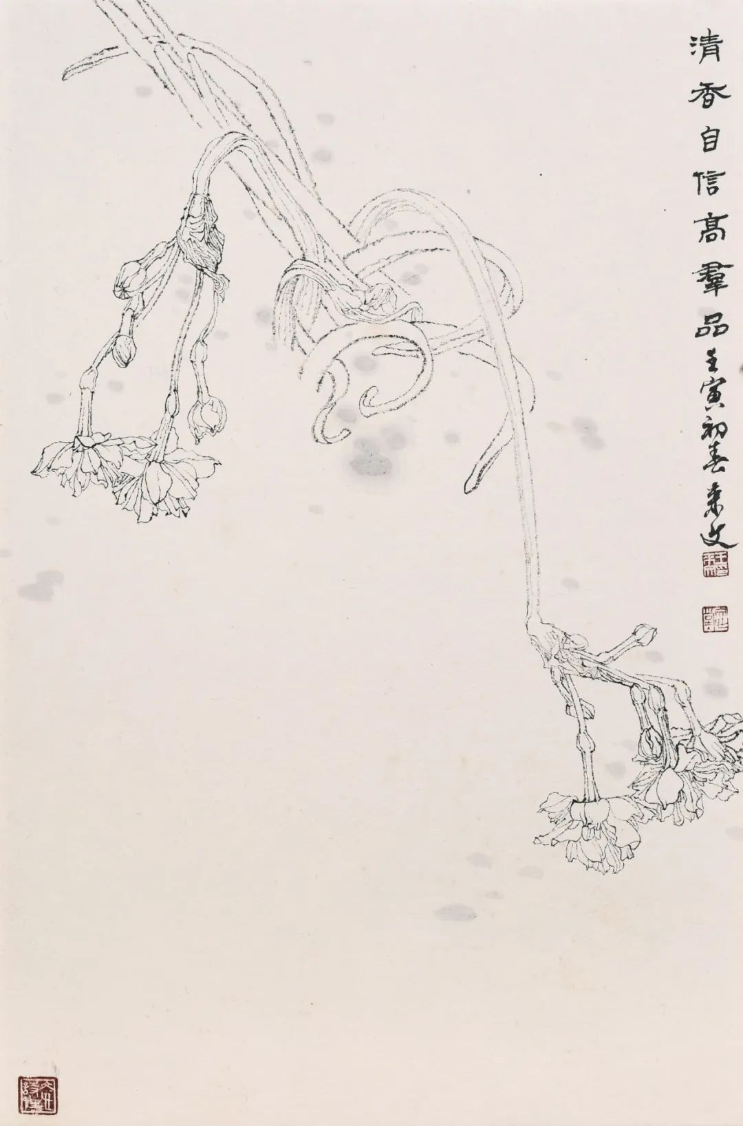 走向单纯——品读著名画家王来文白描花卉册页