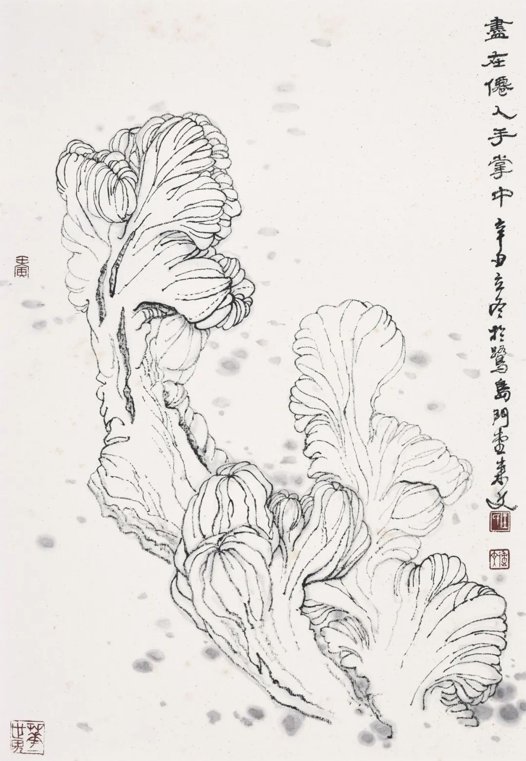 走向单纯——品读著名画家王来文白描花卉册页