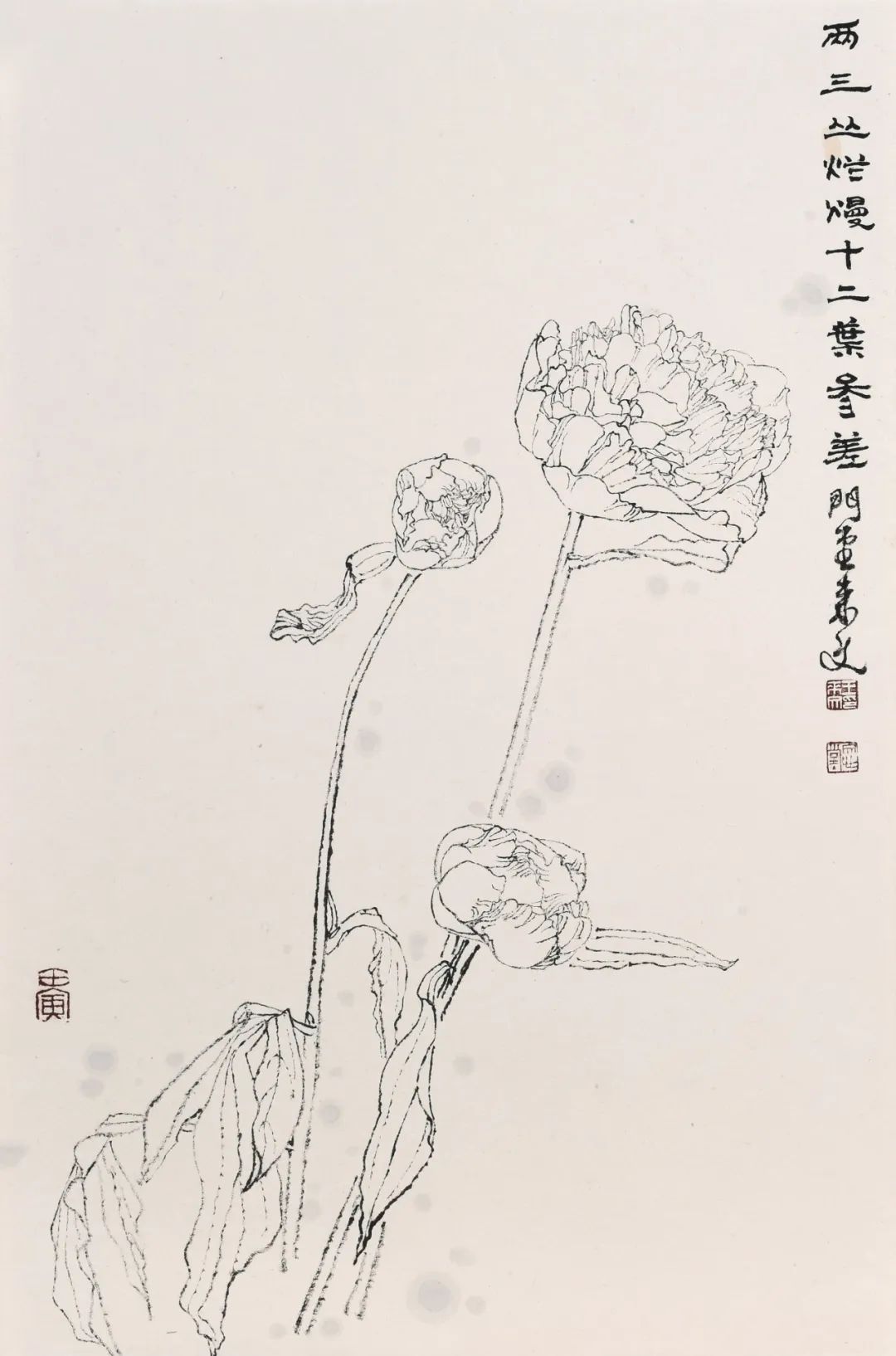 走向单纯——品读著名画家王来文白描花卉册页