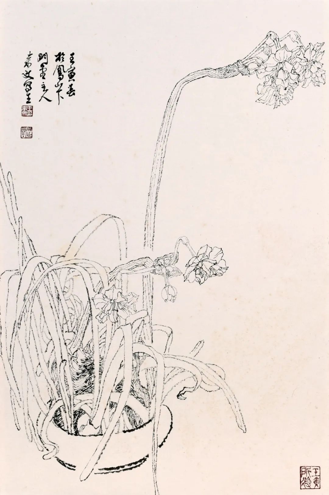 走向单纯——品读著名画家王来文白描花卉册页