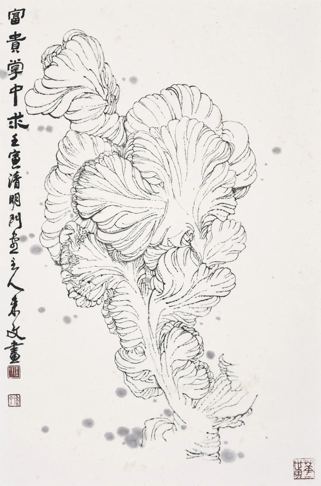 走向单纯——品读著名画家王来文白描花卉册页