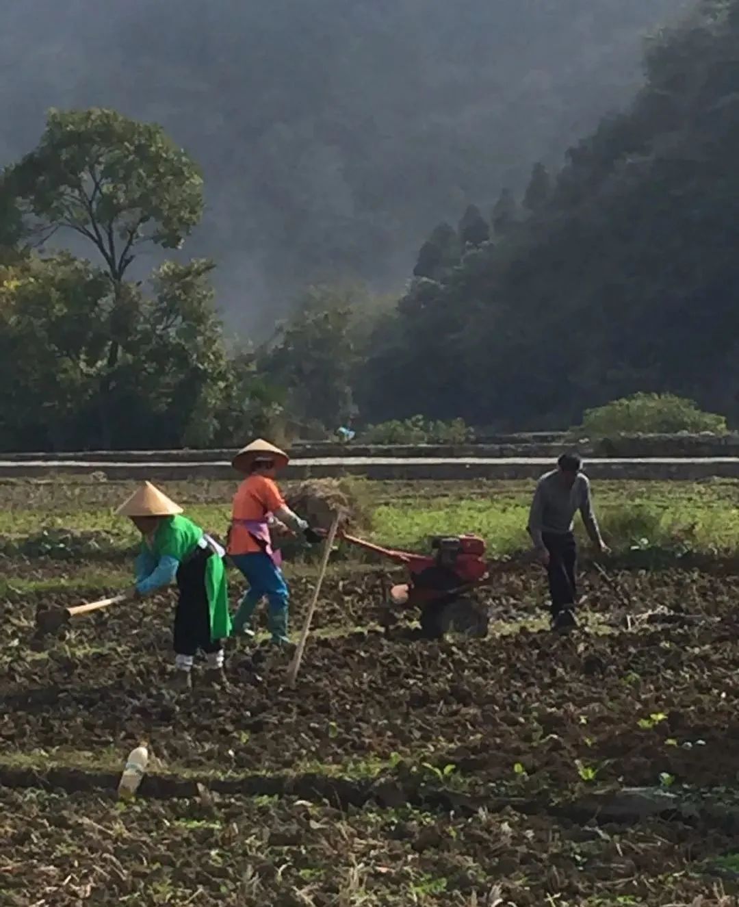 边走边看，边画边想——著名画家岳海波“出去走走”系列合集（下）