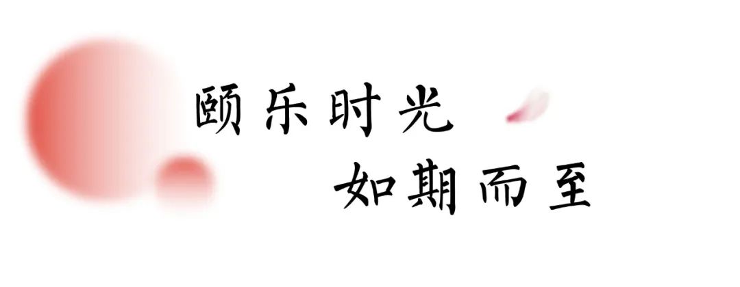 关注长者生活品质，济南杨柳春风颐乐学院启动招生