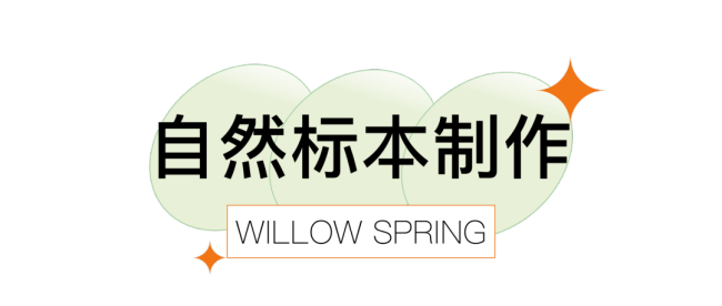 济南杨柳春风携手萝卜桃子手艺农场开展2022年暑期“昆虫奇遇露营”活动