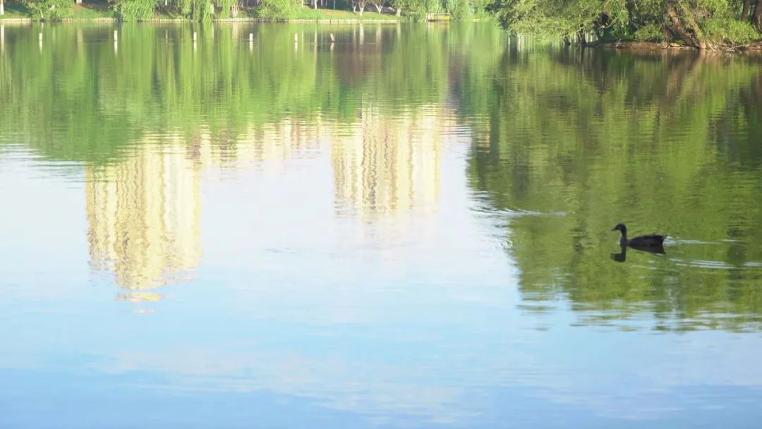 聆听湖与家的对话——济南蓝石大溪地8月公园声活节美好如此“声”动