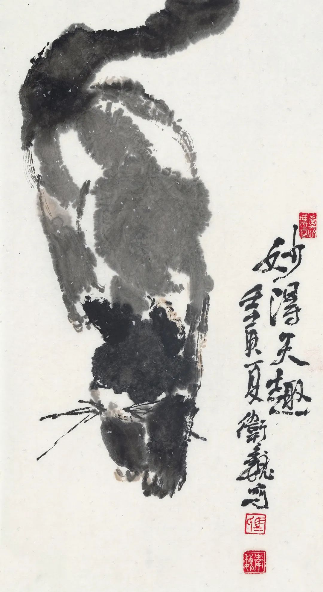 妙得天趣  动静相宜——青年画家马卫巍“玩墨画猫”赏析