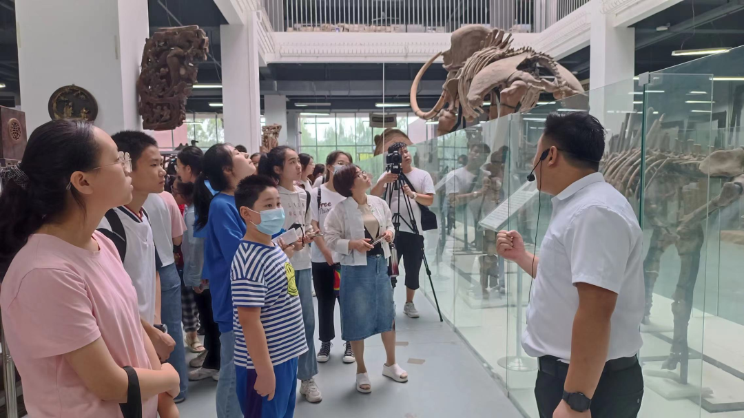 观红馆、赏民俗、看地质......泰安一中师生走进山东力明科技职业学院