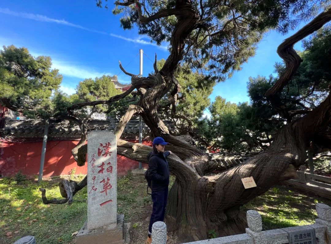 “追根溯源 教学相长——张宜师生书画作品家乡汇报展”在潍坊隆重开幕