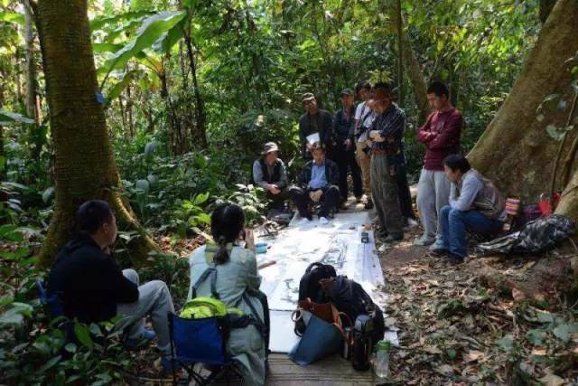 与大自然诗意地相遇——著名画家岳黔山“天人合一”的笔墨语言