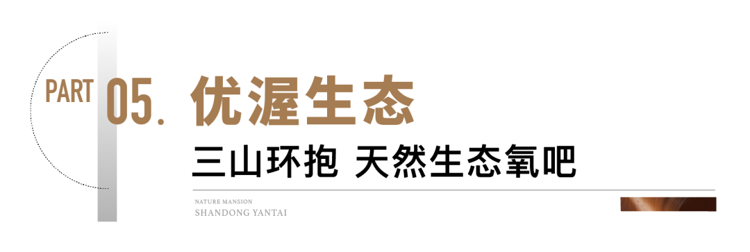 世茂揽樾凭借扎实的产品力，成为烟台芝罘山居红盘担当