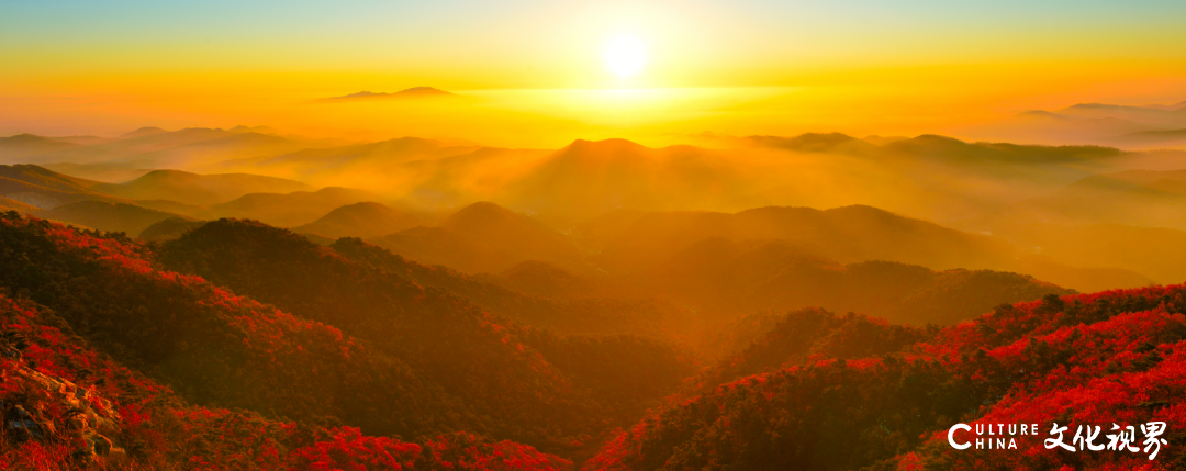 “喜迎党的二十大 水墨丹青绘初心——山东省著名画家红色胶东行”主题画展采风活动即将启动