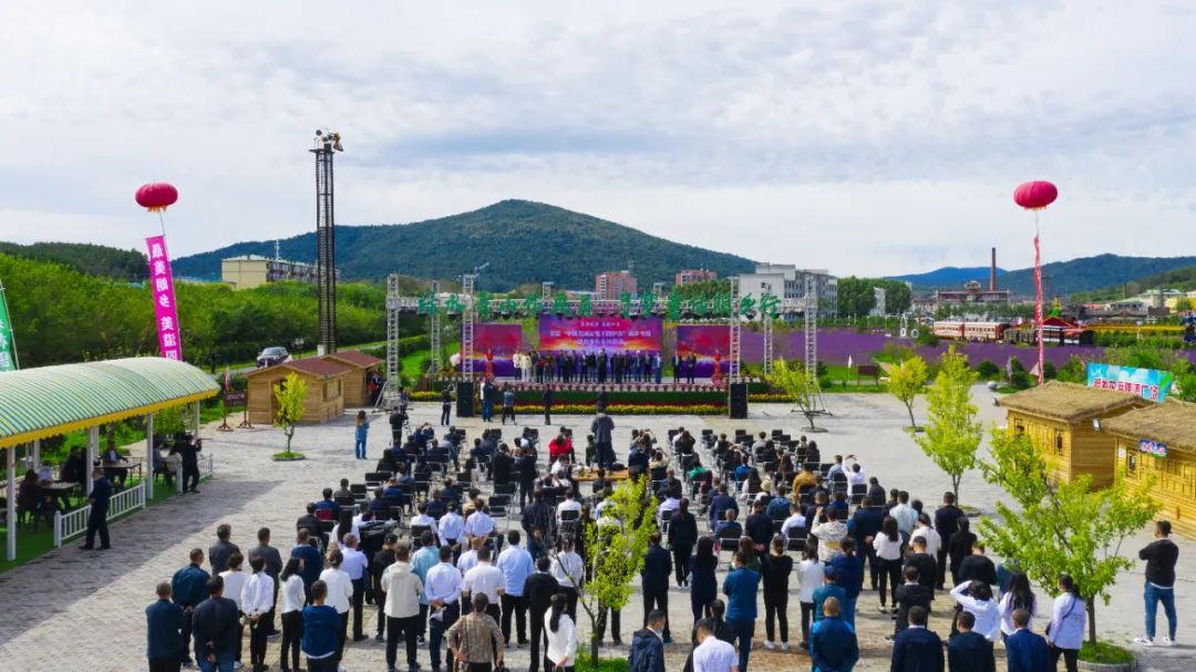 最美朗乡 美溢四方——首届“中国名画家笔下的伊春”朗乡专场采风活动正式启动