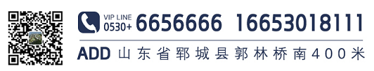 砥志研思新征程，笃行致远再出发——山师郓城照昕实验学校举行暑期教师专题培训