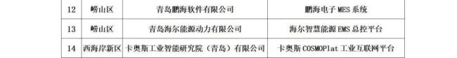 多点开花 载誉前行，卡奥斯以创新应用的科技引领助推数字经济发展