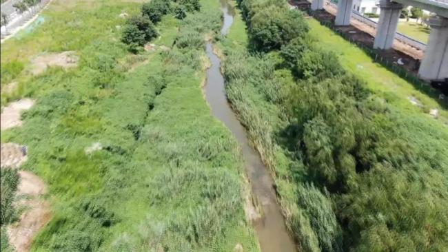 济南大辛河河道及周边脏乱差，市民：“整治”的话说了5年也没个动静