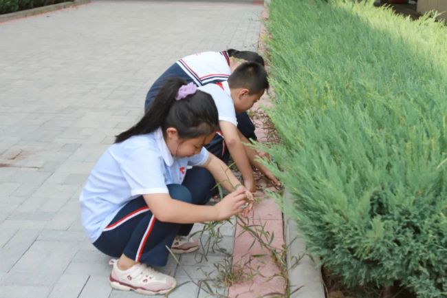 携手同心绘蓝图，山师天衢杨庄实验小学正式开学