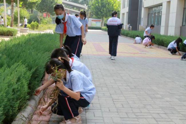 携手同心绘蓝图，山师天衢杨庄实验小学正式开学