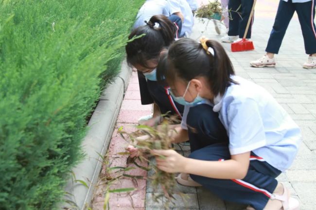 携手同心绘蓝图，山师天衢杨庄实验小学正式开学