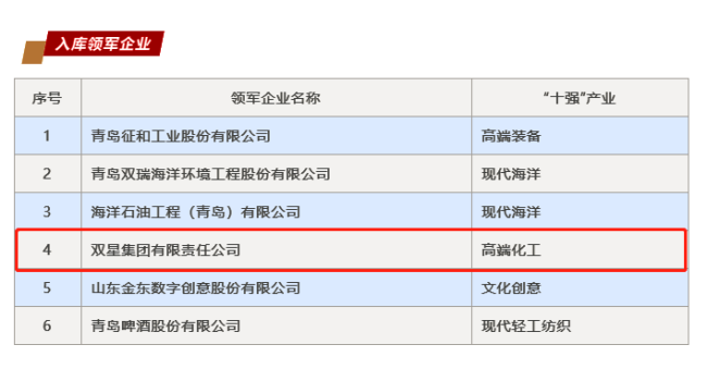 双星集团获评山东省“十强”产业集群领军企业