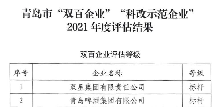 双星集团获评全国国企改革“双百企业”标杆，成为唯一获此殊荣的轮胎企业