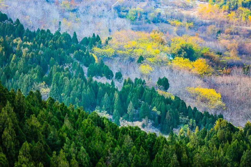 在济南绿地·御山台，共赏秋色，收获野趣，与三山共度金秋