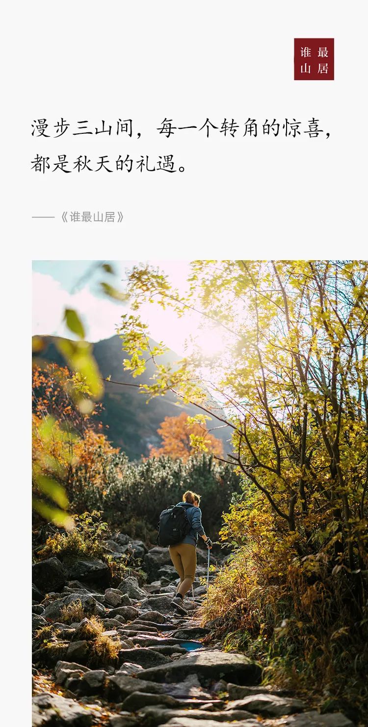 在济南绿地·御山台，共赏秋色，收获野趣，与三山共度金秋