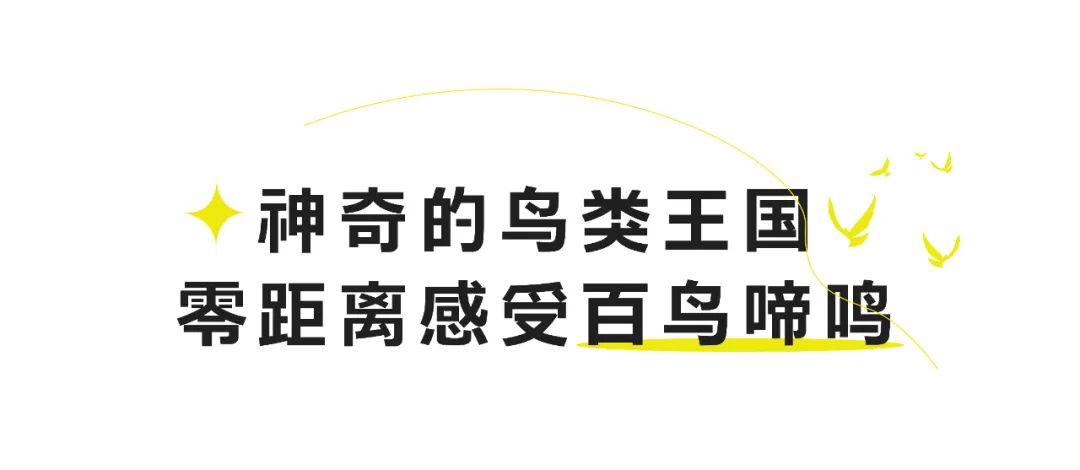 三天劲销1.1亿元，济南银丰玖玺城带你解锁国庆假期新体验