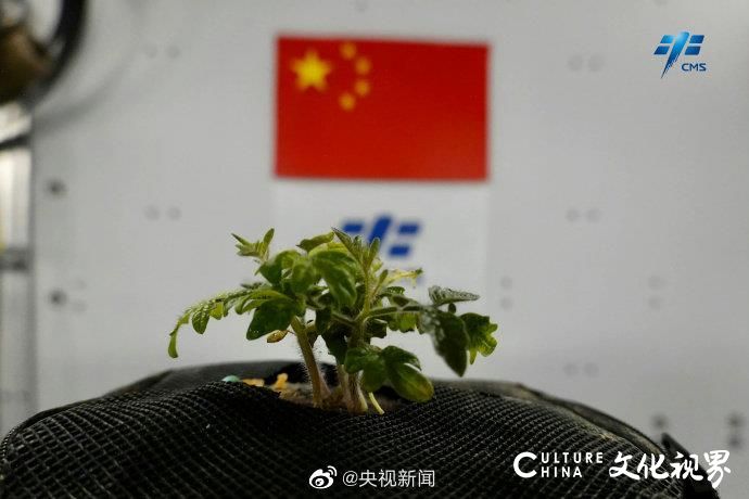 中国人首次在太空欢度国庆，神十四航天员发回国旗同框照