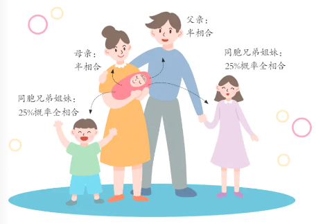 “我该不该给孩子存脐血？”上海妇产科专家这样回答……