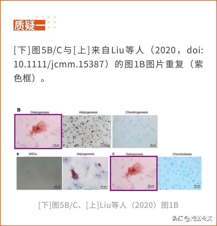 图片重复、疑似出自论文工厂？临沂市人民医院的论文被质疑