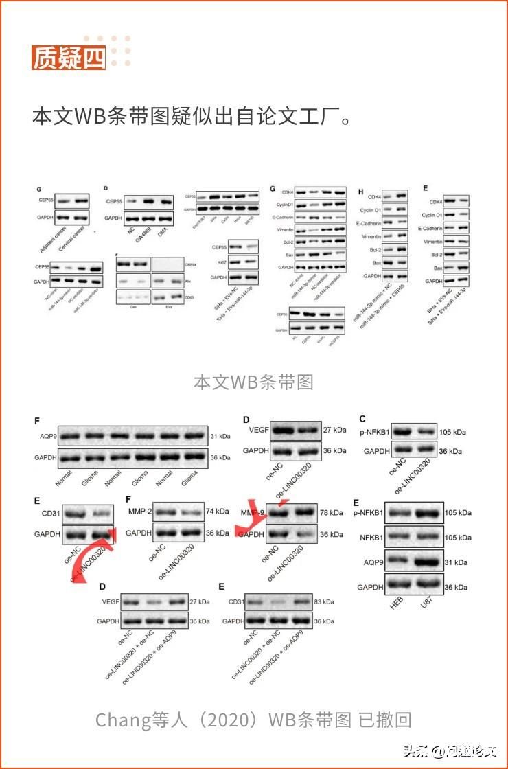 图片重复、疑似出自论文工厂？临沂市人民医院的论文被质疑