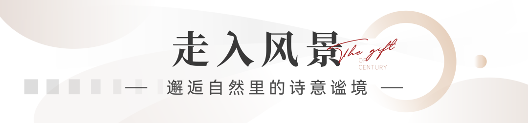 幸福家境兑现，美好如约而至——济南银丰·世纪公园一期盛大交付