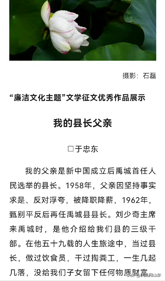 《我的县长父亲》舆情引发匆忙删帖：德州作协，你慌什么？