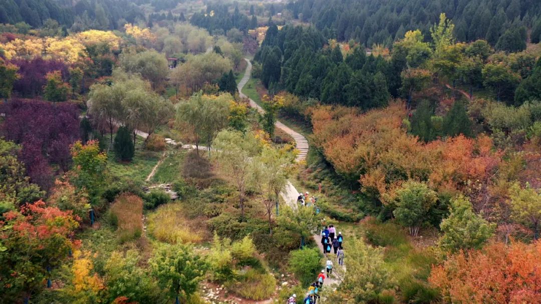 寻隐，见三山！第三届绿地·御山台围子山登山节如约举行