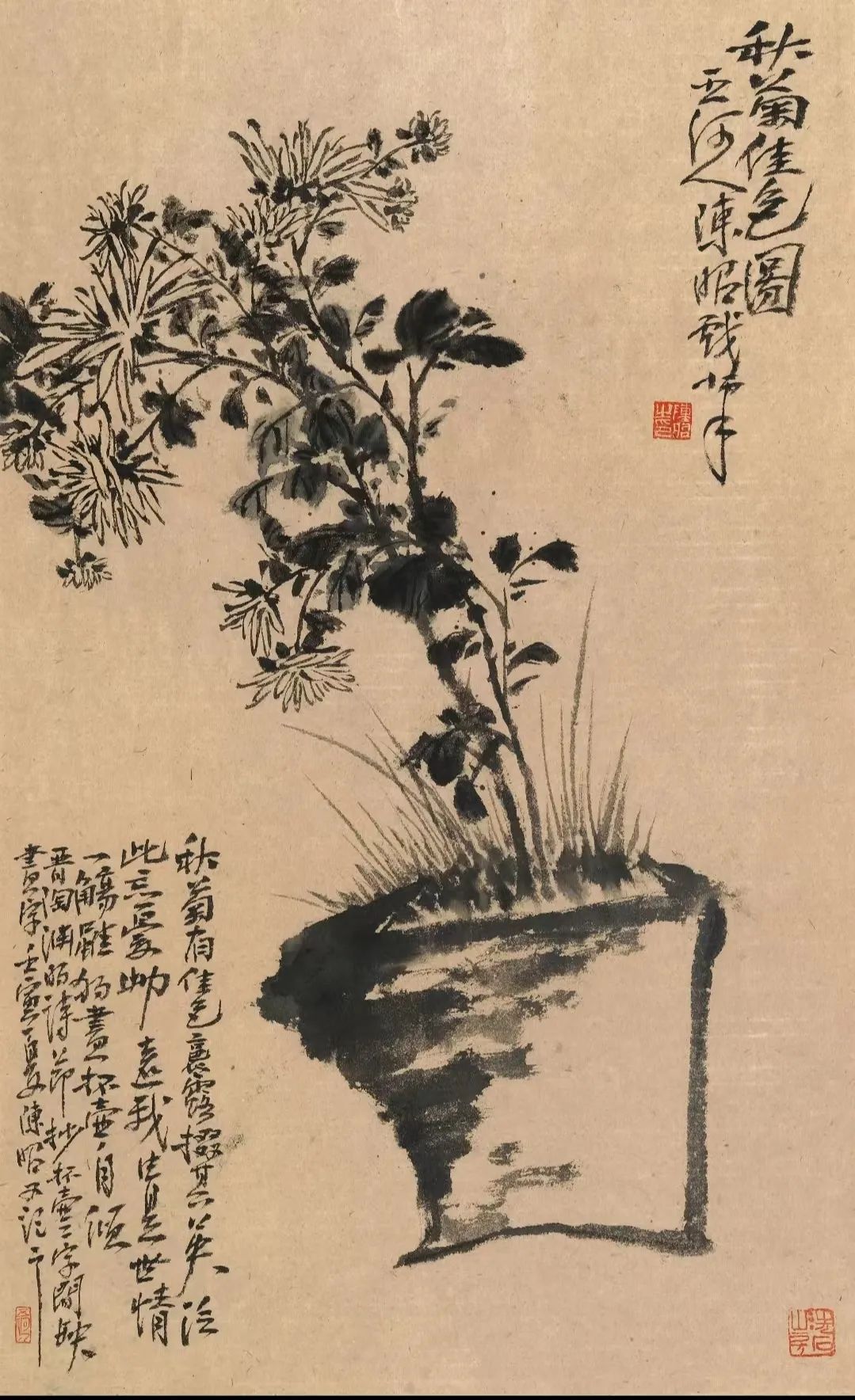 花引蝶 蝶恋花，青年画家陈昭应邀参展“丹青颂中华——全国书画名家邀请展”