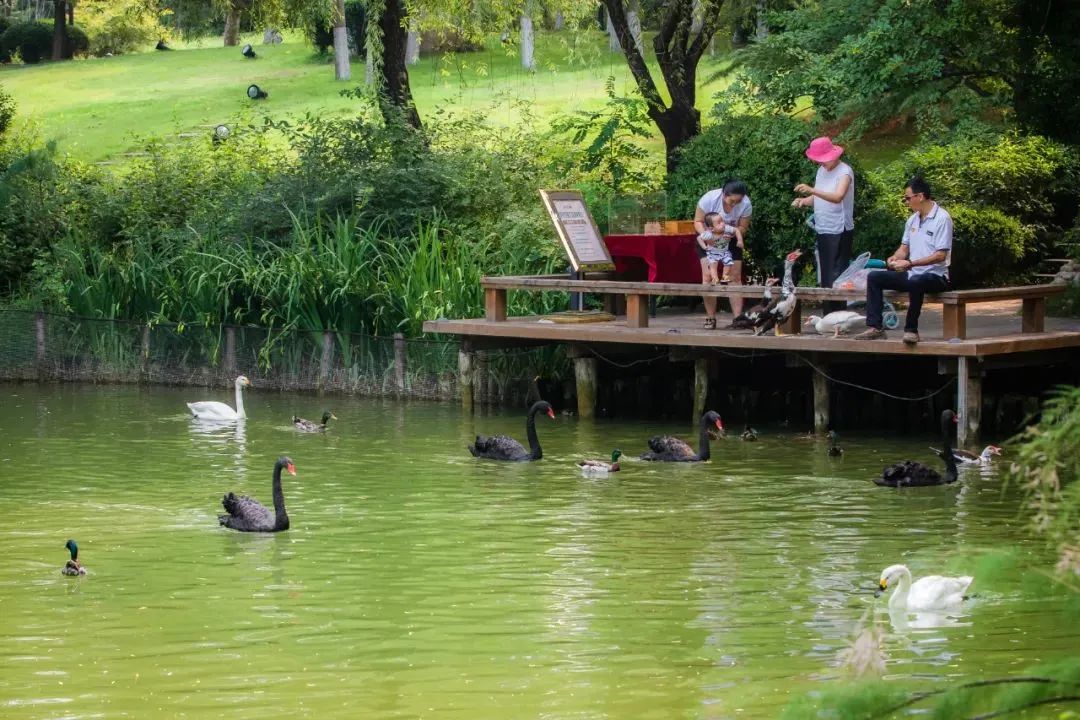 城市公园社区的逐梦者——在济南蓝石大溪地，尽享自然乐趣