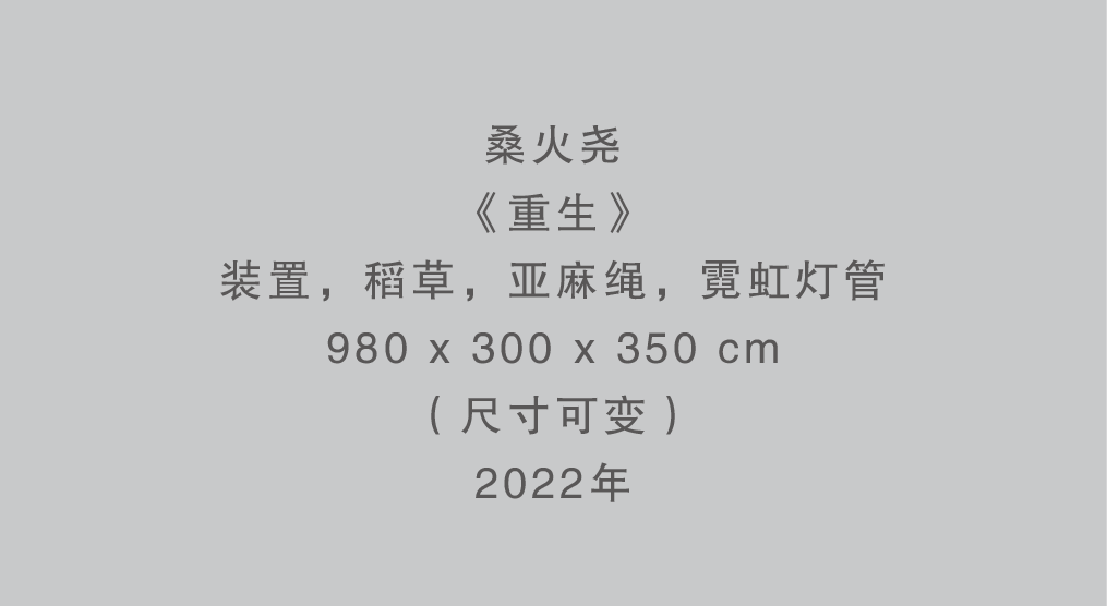 “重生——桑火尧境象主义作品展”将于11月6日在杭州开幕