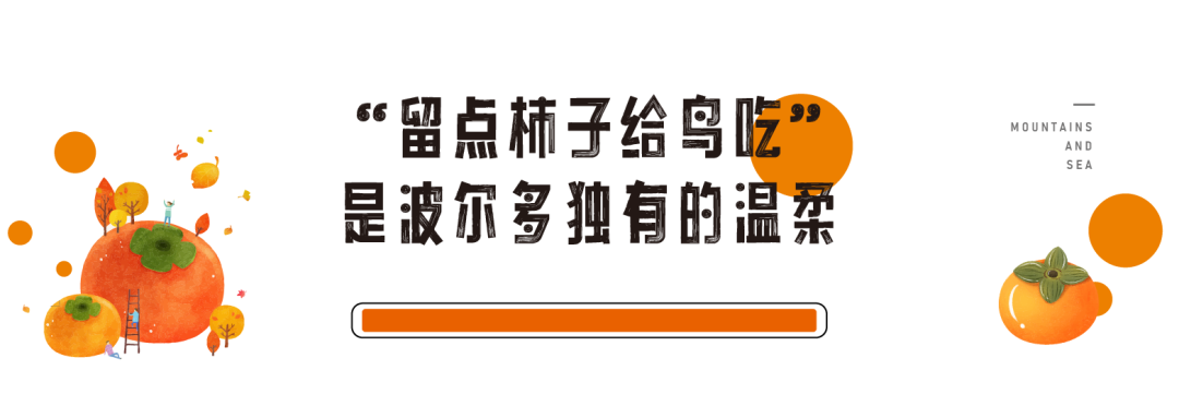 青岛波尔多·玺园的柿子红了，留给山鸟一整个甜蜜冬天